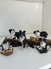 Border collie job for sale  BIRMINGHAM