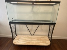 Gallon long fish for sale  Hurst