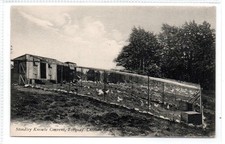 Chicken run stoodley for sale  CUMNOCK