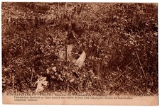 Old postcard thiaumont d'occasion  Expédié en Belgium