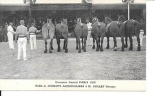 Paris concours central d'occasion  Saulces-Monclin