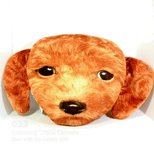 Expressions golden doodle for sale  Saint Peters