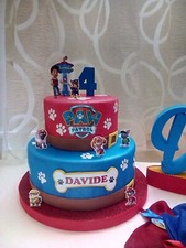 Torta finta paw usato  Messina