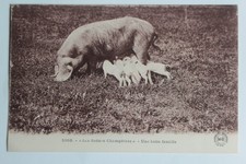 Cpa scènes champêtres d'occasion Cpa scènes champêtres d'occasion  Seyssel