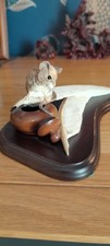 Stunning teviotdale mouse for sale Stunning teviotdale mouse for sale  NORWICH