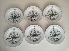 Villeroy boch botanica d'occasion  L'Isle-sur-la-Sorgue