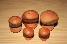Holzpilze holzarten deko gebraucht kaufen  Sindelfingen