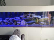 Fish tank aquarium for sale  SCUNTHORPE