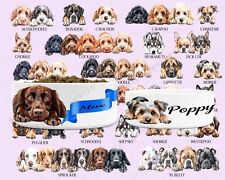 cross breed dogs for sale cross breed dogs for sale RUNCORN