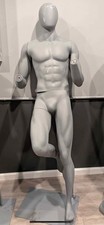 Adult male hans for sale  New York
