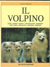 Volpino murante amelia usato  Montecatini Terme