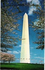 Cartão postal Dr Jim Stamps Washington Monument Cherry Blossom Time não publicado comprar usado  Enviando para Brazil