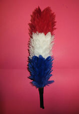 Plumet tricolore casque d'occasion  Eaubonne