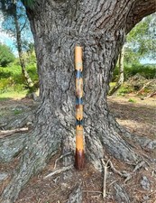 Didgeridoo butterflies austral for sale  CHRISTCHURCH