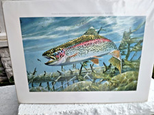 1993 pennsylvania trout for sale  Harrisburg