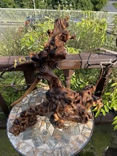 Aquarium driftwood mopani for sale  CARMARTHEN