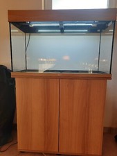 Juwel aquarium rio gebraucht kaufen  Allenfeld, Boos, Hargesheim