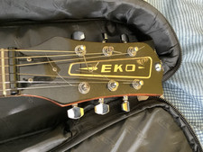 Eko electro acoustic for sale  READING