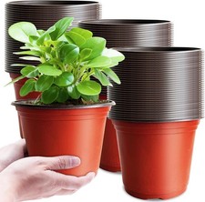 100 pcs plant for sale  Pickerington