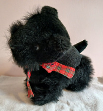 Black scottie westie for sale  NUNEATON