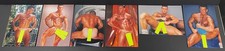 Colt studio male d'occasion  Expédié en Belgium