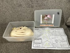 Kinomoto anime resin for sale  Middletown