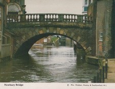 Berkshire postcard newbury for sale  WATERLOOVILLE