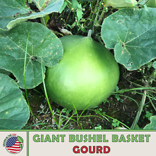 Giant bushel basket for sale  Venice