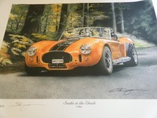Print cobra snake for sale  BOURNEMOUTH