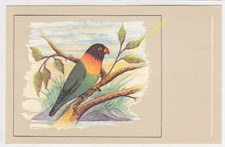 Postcard oiseau bird usato  Spedire a Italy