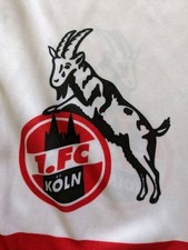 Unikat schal bundesliga gebraucht kaufen  Hamm