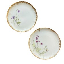 Haviland 1870 1890 d'occasion  Expédié en Belgium