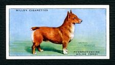 Usado, CARTÃO DE CIGARRO ANTIGO CORGI WELSH PEMBROKESHIRE W D & H O WILLS 1937 DOG SERIES #11 comprar usado  Enviando para Brazil