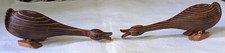 ducks goslings for sale  Tampa