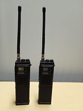 Coppia alan 80 usato  Predappio
