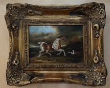 english pointer for sale english pointer for sale  ASHFORD