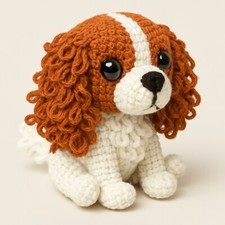 Cavalier king charles for sale  CHATHAM