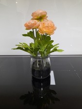 glasblumen gebraucht kaufen glasblumen gebraucht kaufen Gernsbach