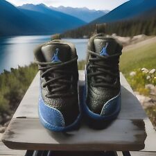 Air jordan xii for sale  Painesville
