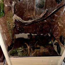 Custom large reptile for sale  Hughes Springs