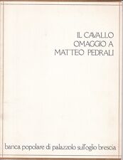 Cavallo omaggio matteo usato  Tavernole sul Mella