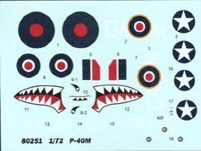 Curtiss 40m warhawk usato  Porcari