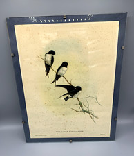 Lithographie ancienne ornithol d'occasion  Arles