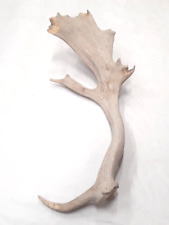 Natural real fallow for sale  USA