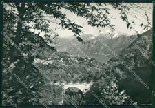 Como dizzasco lago usato  Gambolo