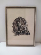 Hund hundekopf portrait gebraucht kaufen  Ergoldsbach