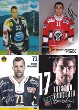 Eishockey autogrammkarten rigi gebraucht kaufen  Saarbrücken