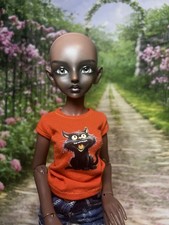 Resinsoul ball jointed for sale  Edinburg