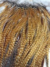 Whiting hoffman hackle for sale  Wendell