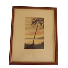 Tropical palm tree for sale  Phoenix